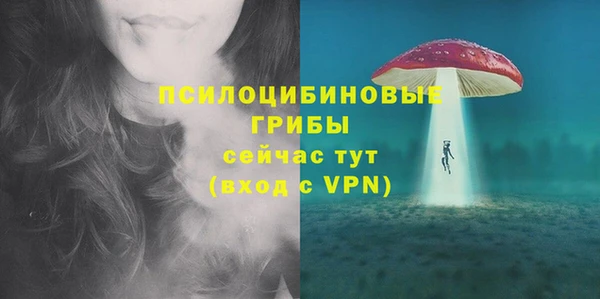 не бодяженный Алексин