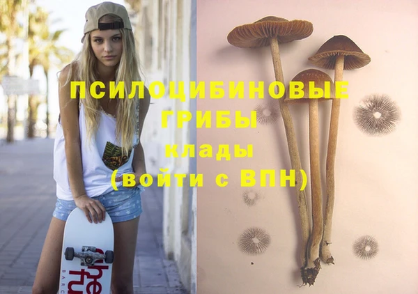 не бодяженный Алексин