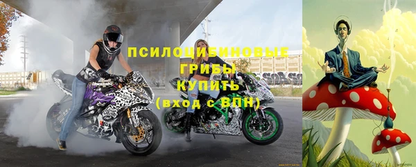 каннабис Алзамай
