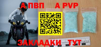 амф Кингисепп