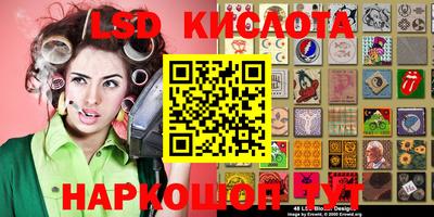 амф Кингисепп