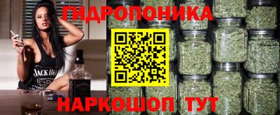 амф Кингисепп