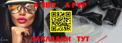 амф Кингисепп