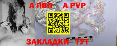амф Кингисепп