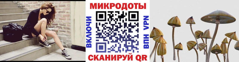 купить наркоту  площадка клад  mega ONION  Псилоцибиновые грибы Psilocybe  Касимов 